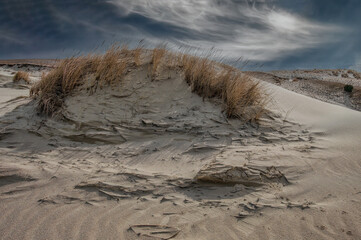 The Curonian spit.March month, midday.