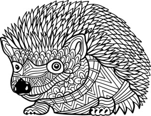Hand drawn Coloring pages with hedgehog ,  illustration for adult anti stress Coloring books  with high details isolated on white background. Vector monochrome sketch © SokolArtStudio