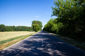 an empty paved road in the countryside