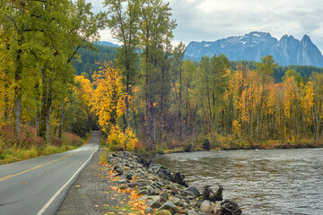 Scenic road among autumn yellow trees near mountain river in Washington state. - Powered by Adobe