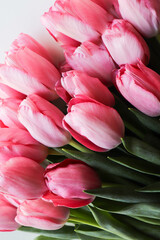Obraz premium spring bouquet. bouquet of tulips on a white background