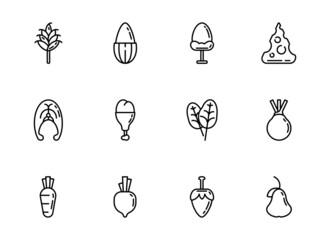 Set of healthy food icons on white background. Flat stylized outline vegetables and fruits in black color
