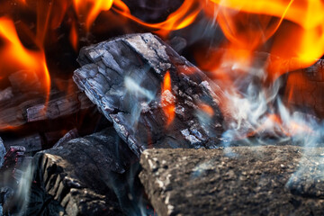 dry logs burning in the fire from tree trunks