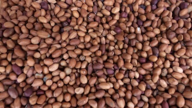 Peanut or Cheena Badam close up view .Smooth Movement of a pile of peanut kernels, without shells.