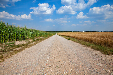 Obraz premium features on paved sandy road in rural area