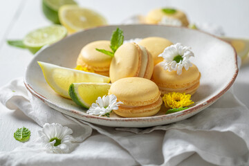 Homemade and sour lemon macaroons with spring flowers on plate.