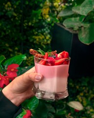 yogurt de frutos rojos