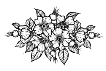 Vector illustration. Rosehip flowers, card for you, line art style, Handmade, tattoo, line art style