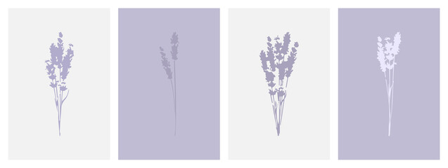 Purple lavender greeting cards. Elegant lavender bouquet design. Botanical flowers collection.