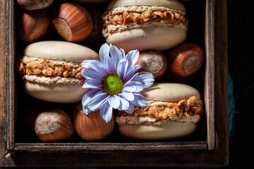 Delicious and fresh nuts macaroons in small wooden box.