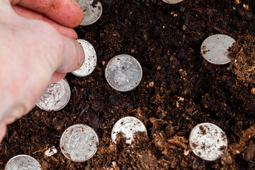 American cash in the field where agricultural activities are carried out