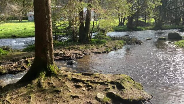 Rivi&egrave;re calme et charmante dans la for&ecirc;t des Vosges de G&eacute;rardmer.