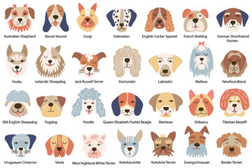 Set of dog faces of various breeds. Vector illustration.