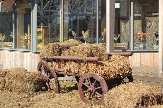 Old vntage rustic wooden wagon cart with hay bales for agricultural. Scenic rural landscape with aged farm transport