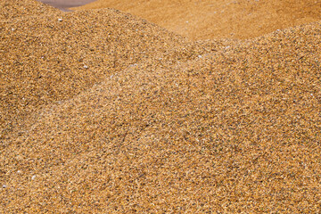 Fototapeta na wymiar a pile of harvested cereal grains