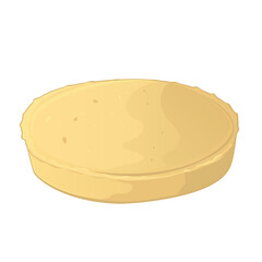 Homemade pie isolated on white background. Vector illustration of bakery and dessert concept