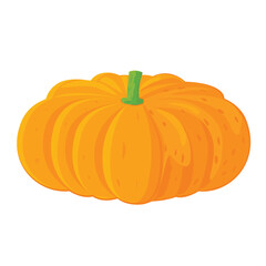 Pumpkin isolated on white background. Vector illustration of vegetable.