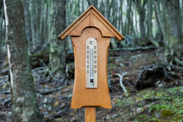 Wooden thermometer in the forest