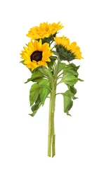 Poster Three yellow sunflowers in a summer bouquet isolated © Ortis