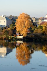 Fototapeta premium autumn in the park