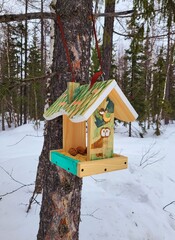 bird house in winter