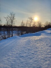 winter landscape with snow