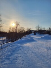winter landscape with snow