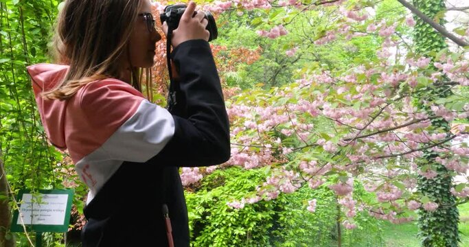 Young girl taking a photo with a camera of a blooming cherry tree in a garden on a spring day.