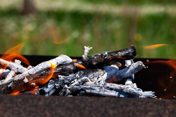 orange flame of fire while burning branches and firewood