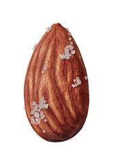 Salted Almond nut isolated on white background