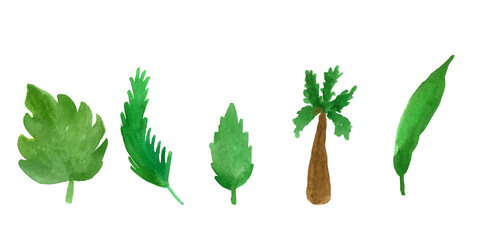 Watercolor set of green tropical leaves and palm.