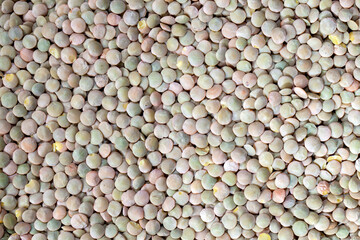 dried lentils on the table before cooking