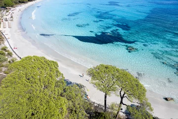 Photo sur Plexiglas Plage de Palombaggia, Corse Vue aérienne avec la plage de Palombaggia en Corse, France
