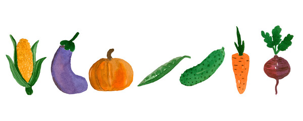 Watercolor set of ripe vegetables from the garden.