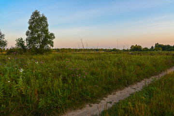 Country road against the background of a summer field at sunrise.