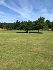 Obraz premium Im Park