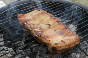 grilled meat on the grill