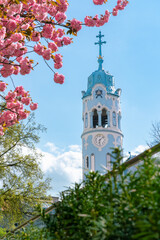 Bratislava Blue church tower with pink cherry flowers on sunny spring day