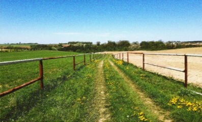 Fototapeta premium dirt road - image for printing