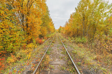 One railway track at autumn day.