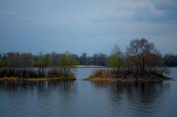 Fototapeta na wymiar island with young trees in the middle of the river, in spring. Dnieper River. river, Europe 