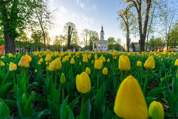 Beautiful Bjelovar in spring morning