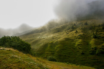 Naklejka na ściany i meble Foggy scenery in the French Pyrenees