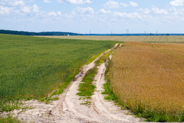 wheel ruts like a highway with a blue sky