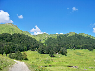 beautiful summer landscape. mountains forest blue sky and road