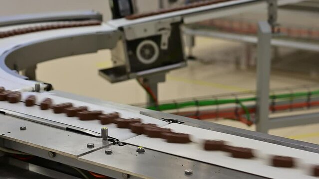 Conveyor with passing chocolate bars. Chocolate Factory.