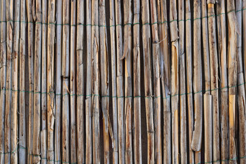 wooden texture of a dry bamboo fence - background texture of palisades for a garden backgroun - obrazy, fototapety, plakaty