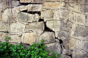 old cracked medieval stone wall with rough textured bricks and an oblique crack in the half of the surface, with wild plants growing in the side - historical background pattern