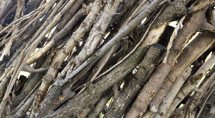 obliquely stacked tree branches - closeup firewood of a woodpile for a background