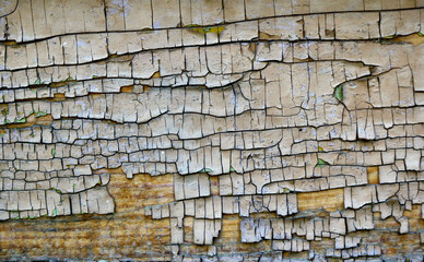 old wooden surface with cracked paint and abstract textured pattern with aged effect - weathered closeup background ready for renovation